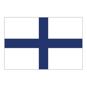 Flag International Code Signal X (30 x 45cm)