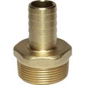 Maestrini DZR Straight Hose Tail (1-1/2" BSPT Male to 25mm Hose)
