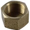 Maestrini Bronze Blanking Cap (3/4" BSP Female)