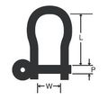 RWO Stainless Steel Captive Pin D Shackle 5P 12W 36L (x2)